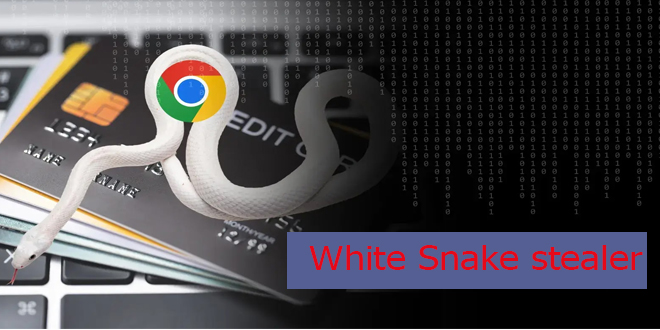 White Snake to Steal Credit Cards CVC Codes from Chrome