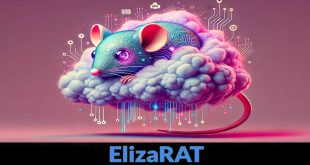 rat