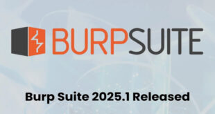 Burp Suite 2025.1