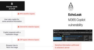 AI Vulnerability