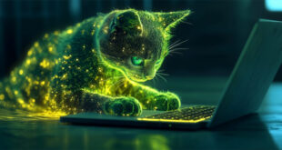 SparkKitty