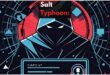 Salt Typhoon