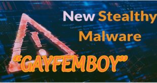 "Gayfemboy"